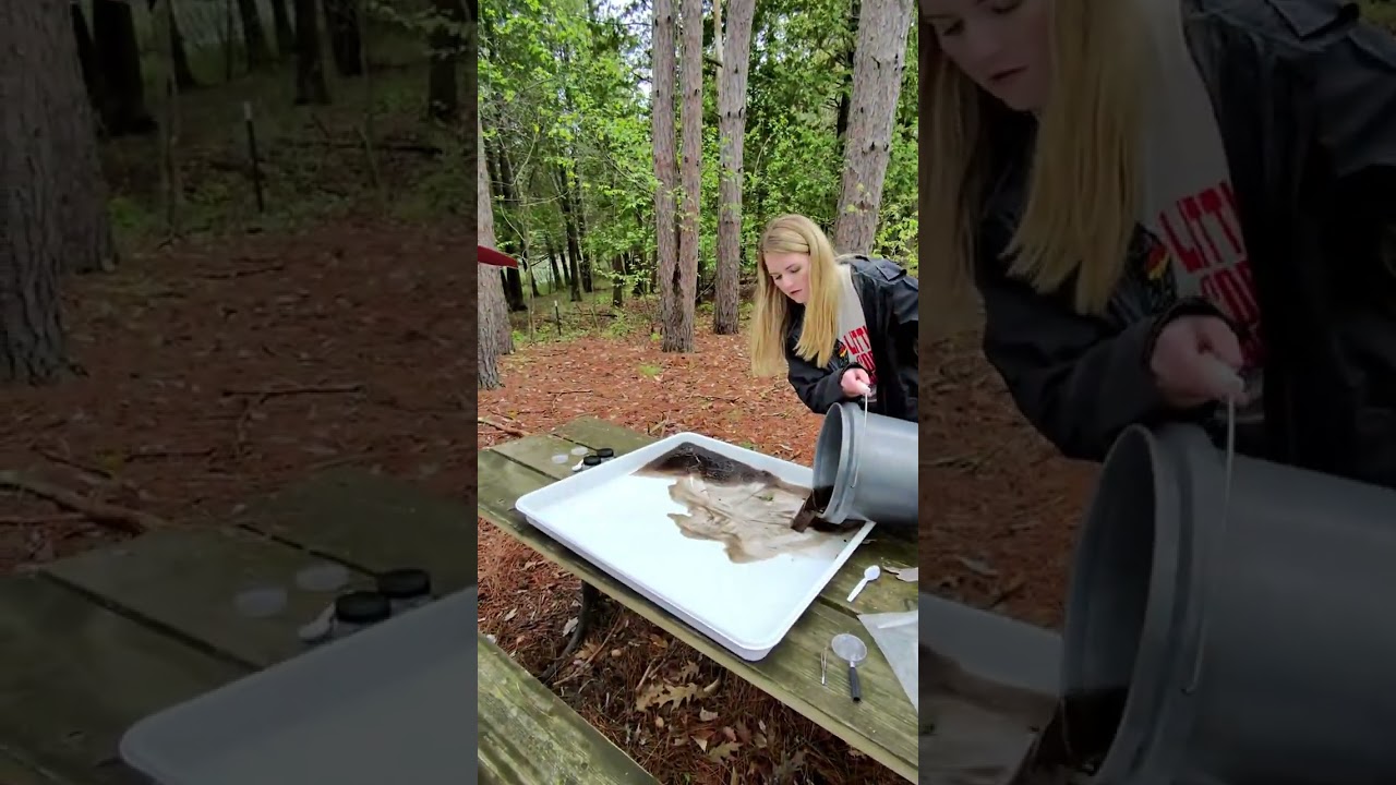 Stream Sampling ASMR | Cedar River