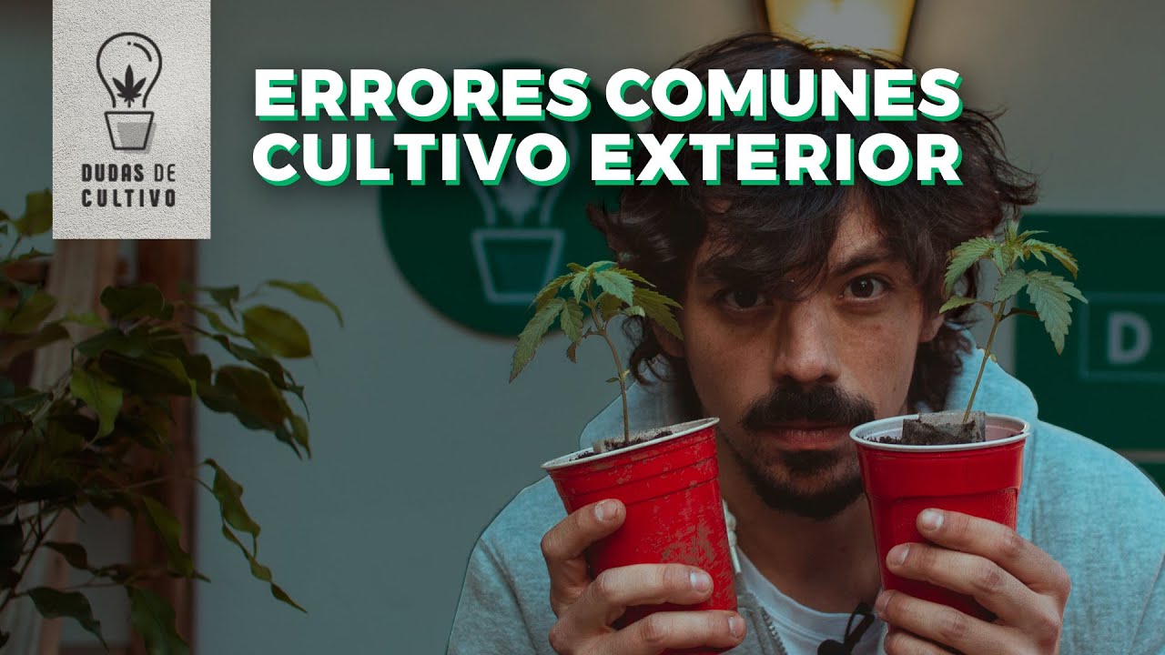 ERRORES COMUNES EN CULTIVO DE CANNABIS EN EXTERIOR
