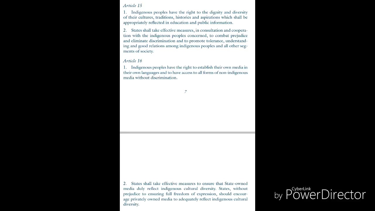 U N D R I P United Nations Declarations on the Rights of Indigenous Peoples