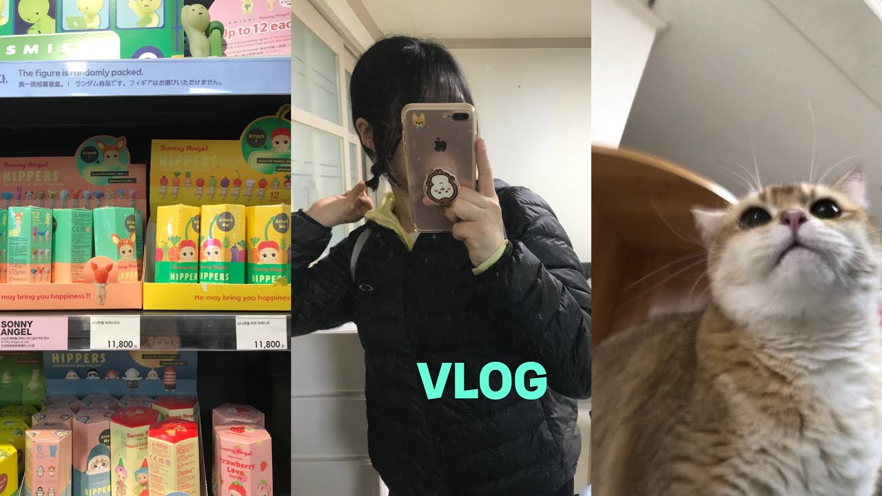 Vlog .. 개강 얼마 안 남았다.. 즐겨 | 경주 당일치기 | 대학생 방학 일상 브이로그 