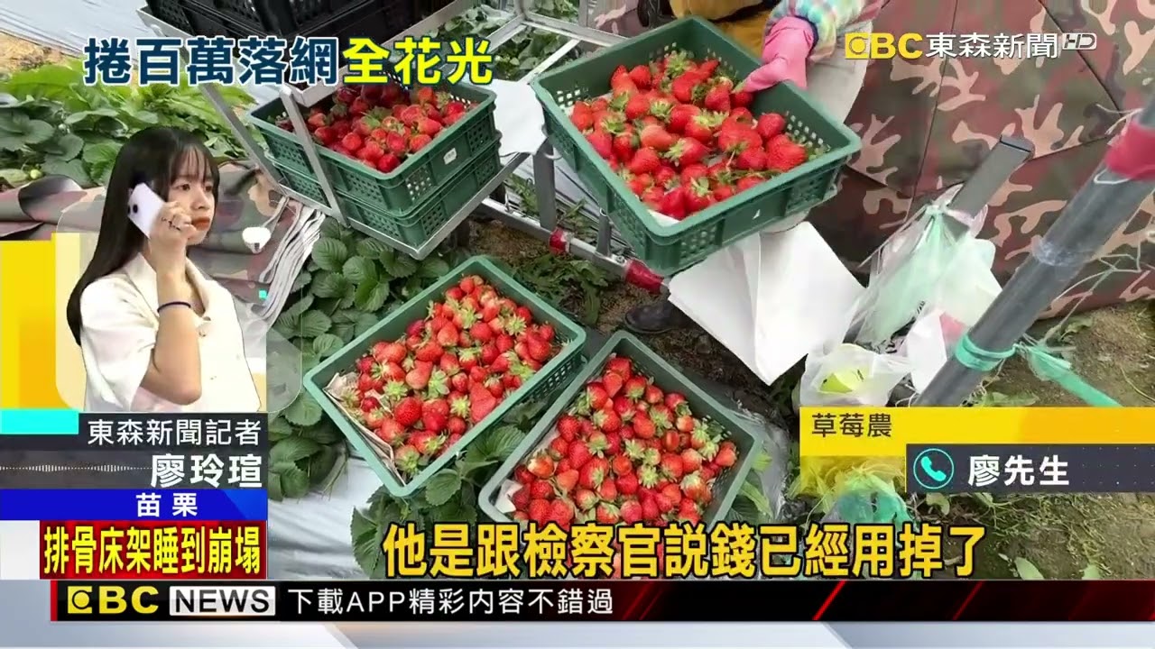 盤商橫掃苗栗莓農5百萬 落網稱「錢都花光了」@newsebc