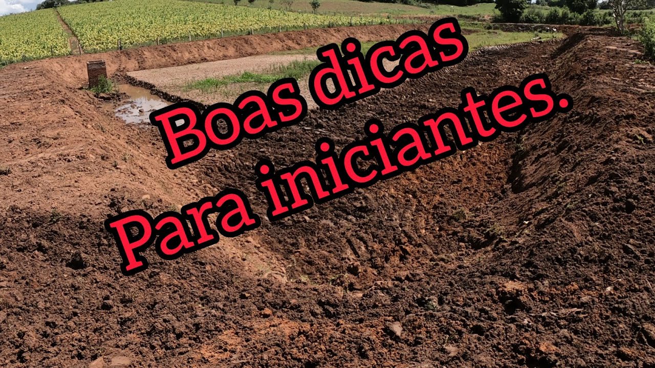 Escavadeira hidráulica, dicas de como reformar um açude, operador capixaba