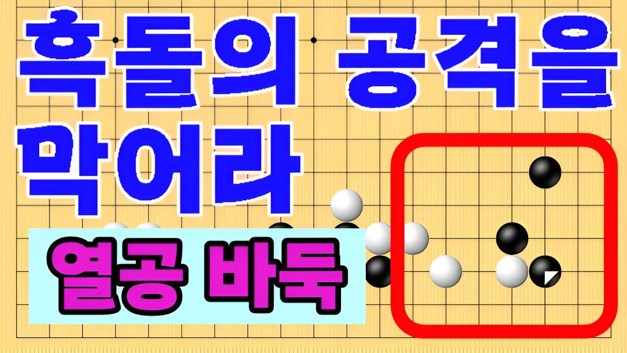흑의 공격을 막어라 열공바둑두기 타이젬 5단기보보기입니다  #바둑두기 #바둑초보 #바둑배우기 #gameplay #games #실제둔바둑보기 #게임 #왕초보