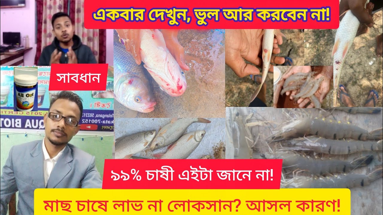 মাছ চাষের আসল গাইড | প্রতারণা থেকে বাঁচুন, লাভ করুন সঠিকভাবে! এবার মাছ চাষে লাভ অনিবার্য!