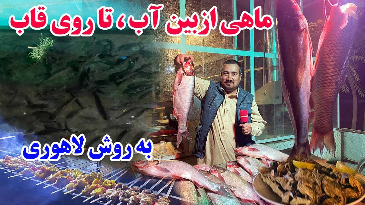گزارش افغان تاپ: فارم ماهی و ماهی پزی،  لقه ماهی، طیاره ماهی، شیر ماهی، زغاره ماهی، کباب، Afghan top