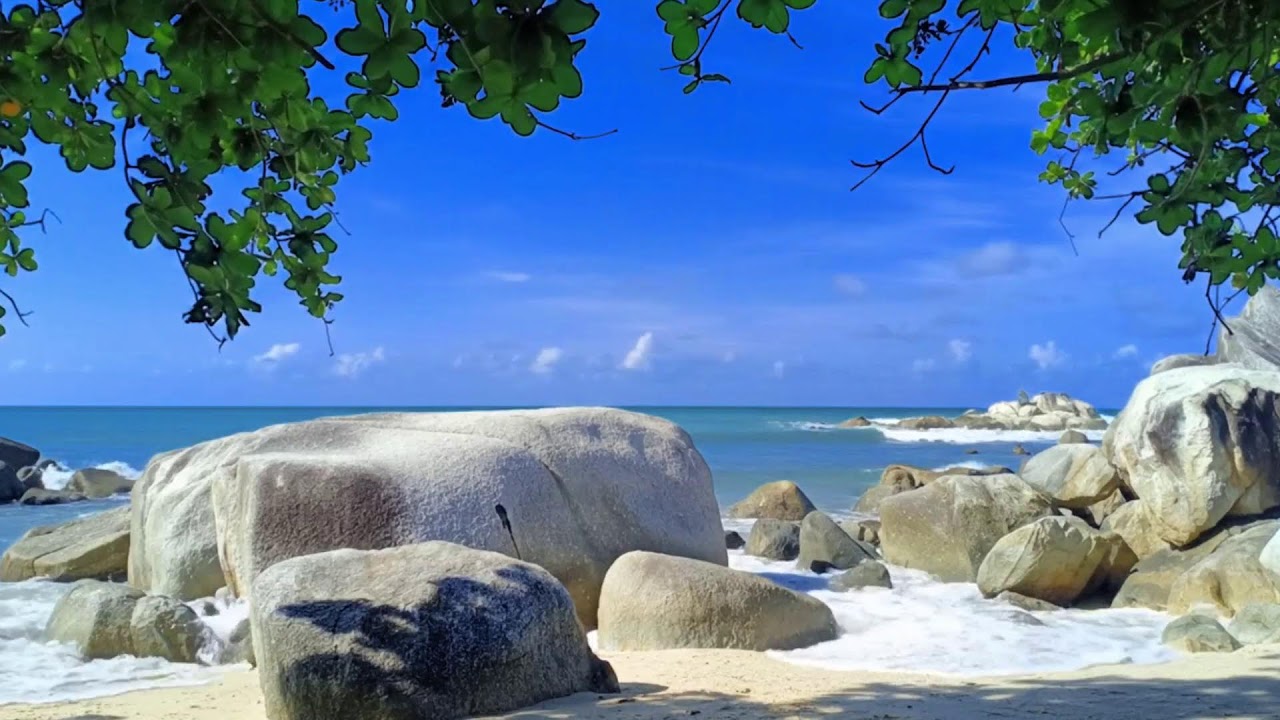 Live Ocean Waves | Peaceful Beach Sounds for Relaxation, Meditation & Sleep