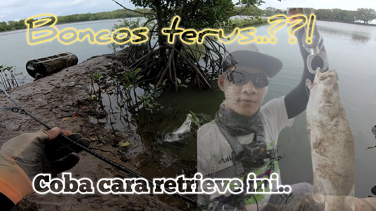 look on my retrieve..!! this is how  i catch barramundi using flutterstick lure