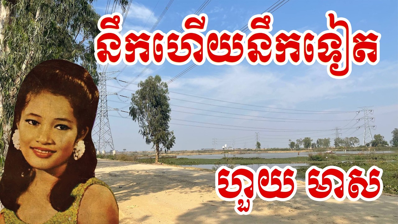 នឹកហើយនឹកទៀត | ហួយ មាស
