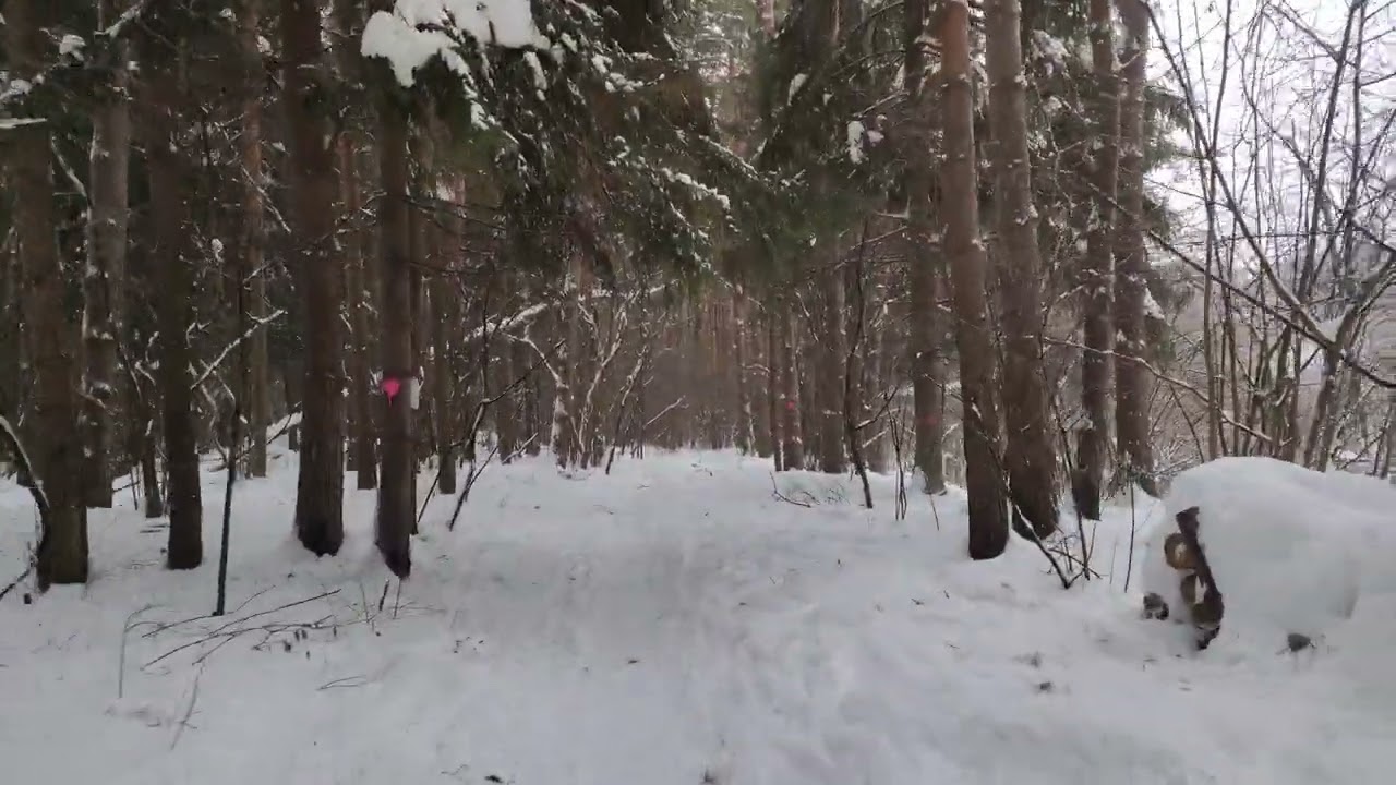 14 февраля 2026 г.