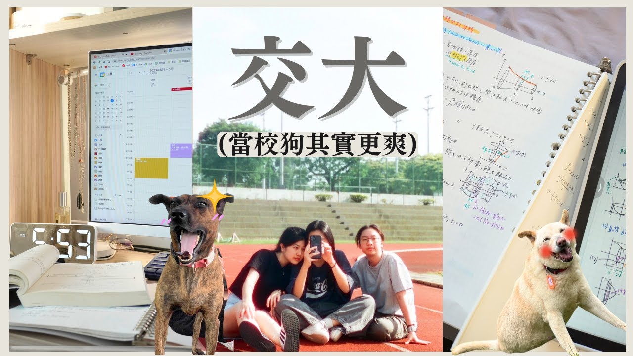 【交大Vlog 】梅竹季| 圖書館待到閉館日常| 環校路跑 | 過得很爽的校狗