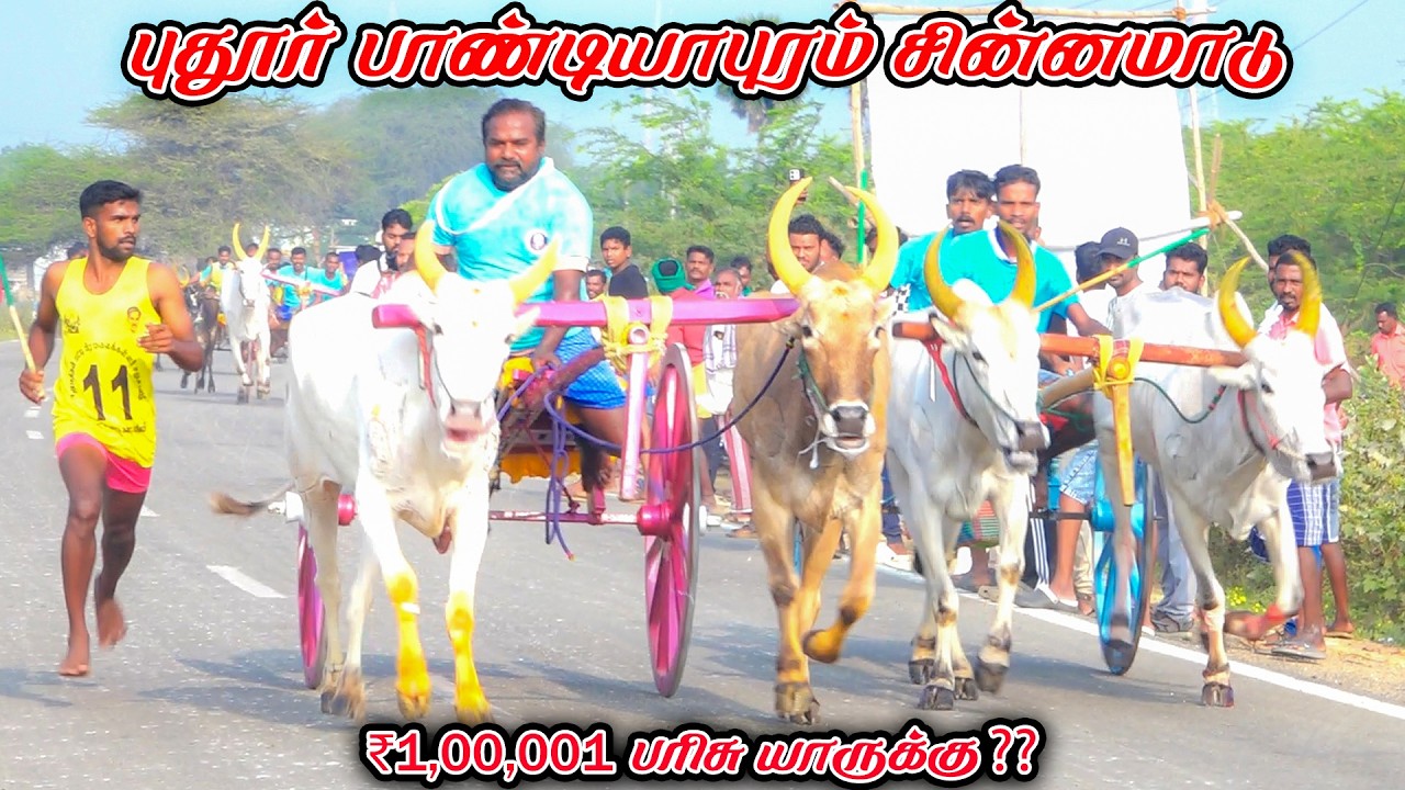 3புதூர்பாண்டியாபுரம்-சின்னமாடு-பந்தயம்_01.03.2026_V_Photography