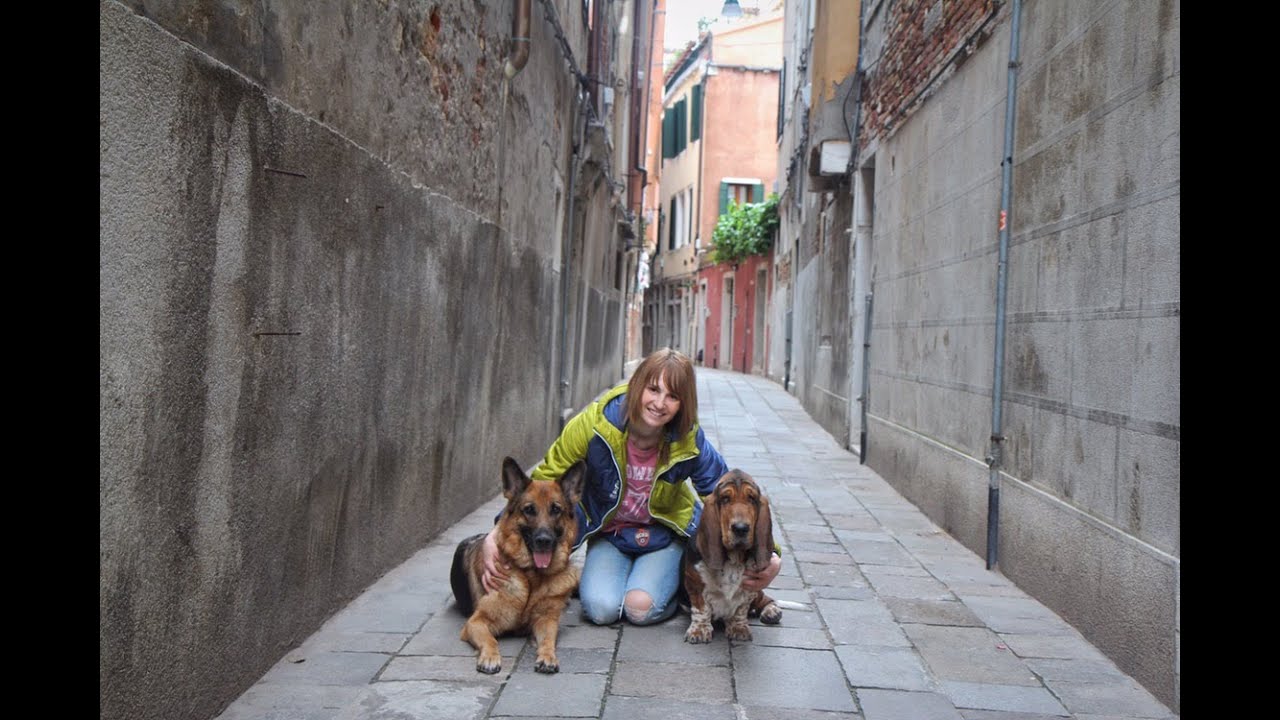 Travel with dogs in Europe