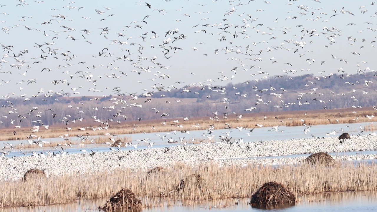 Loess Bluffs National Wildlife Refuge