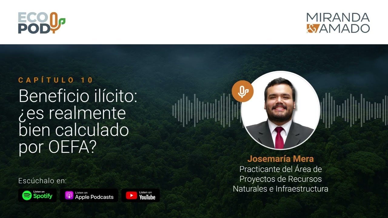 Capítulo 10: Beneficio ilícito: ¿es realmente bien calculado por OEFA?