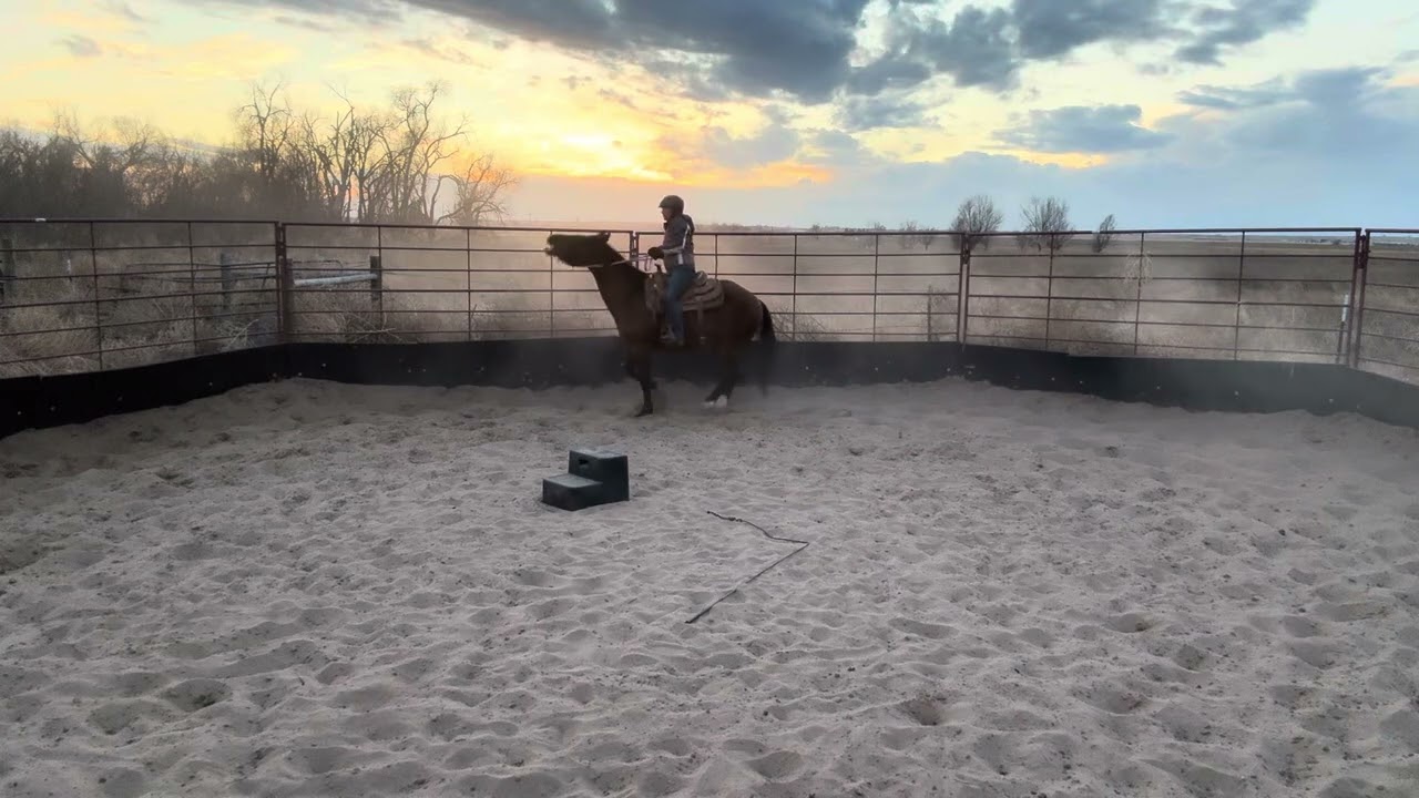 Bullet ride 2/12