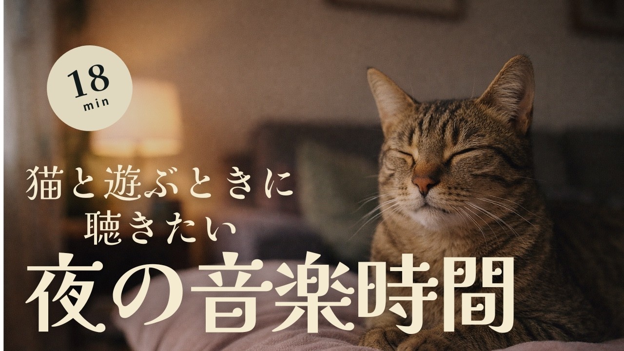 【18分BGM】猫と遊ぶときに聴きたい夜のジャズ｜リラックス・作業用