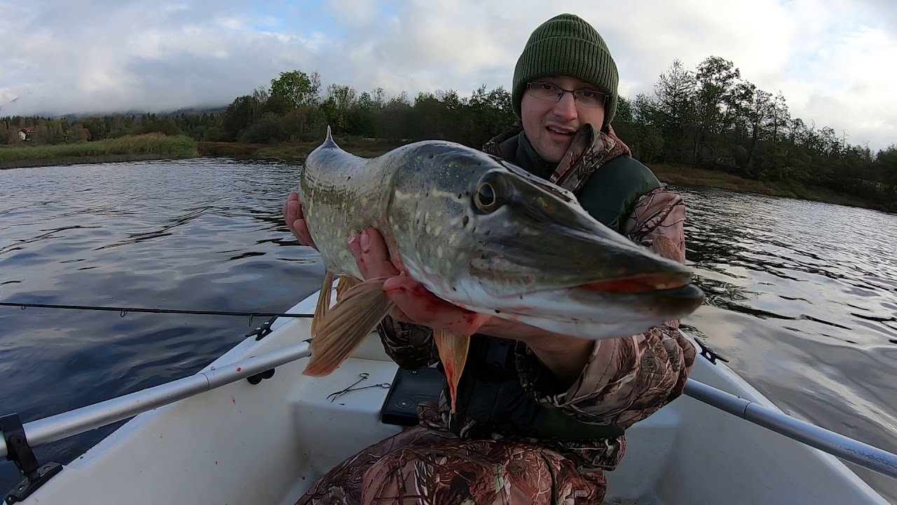 Testujemy przynety Savage Gear Real Eel