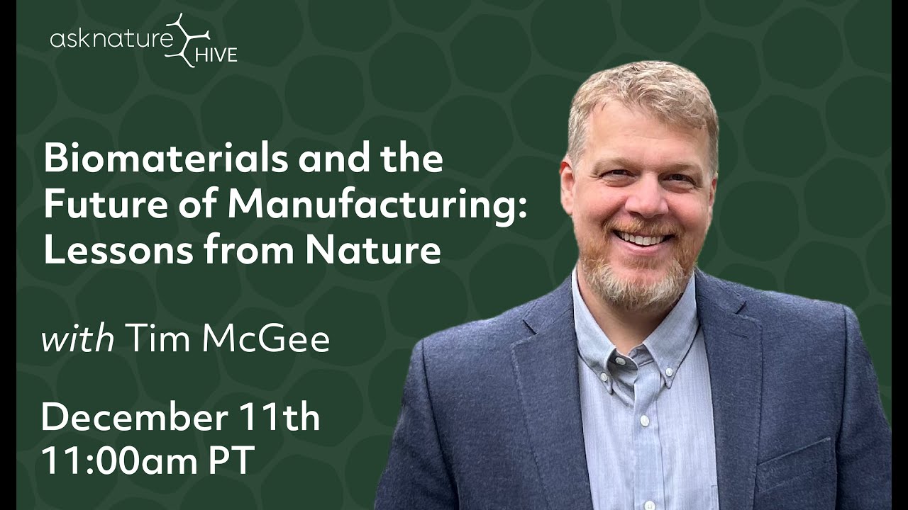 AskNature Hive Live Convo with Tim McGee