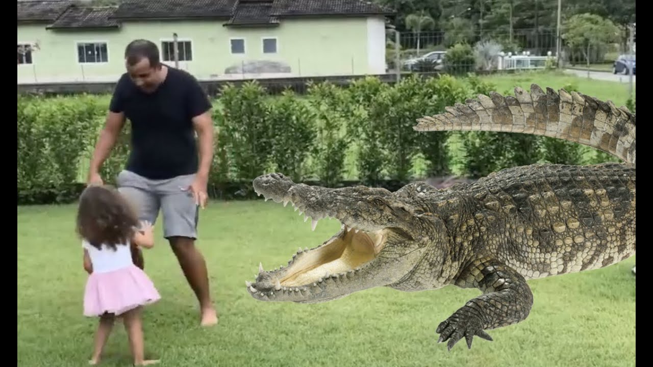 TEM UM JACARÉ NA MINHA CASA (BAD ALLIGATOR)
