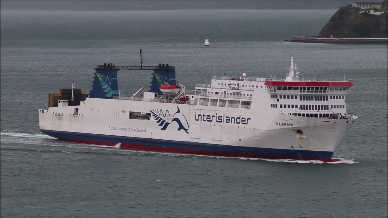 Wellington harbour regular's