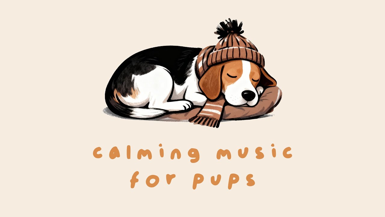 12 Hours of Comforting Lofi for Dogs 🐾✨ | Soft Music for Relaxation and Separation Anxiety