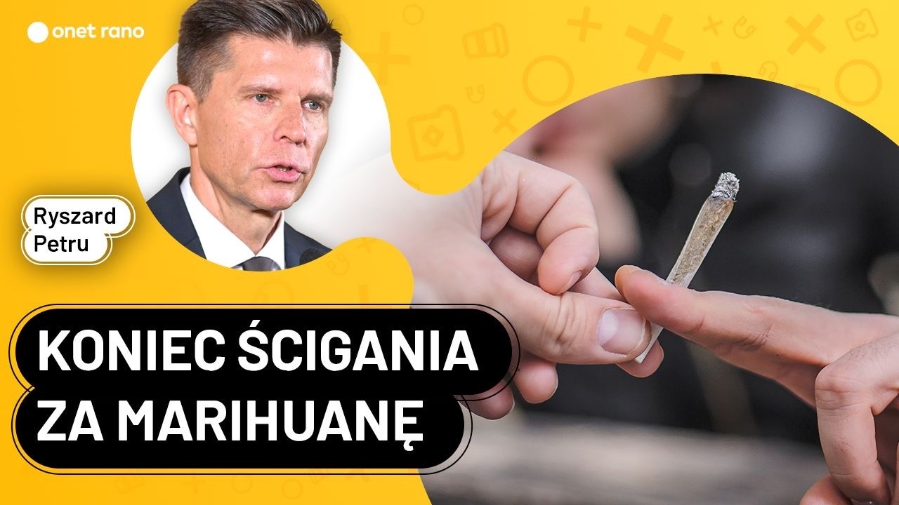15 gram&oacute;w i 1 krzak - Ryszard Petru o depenalizacji marihuany I Onet Rano