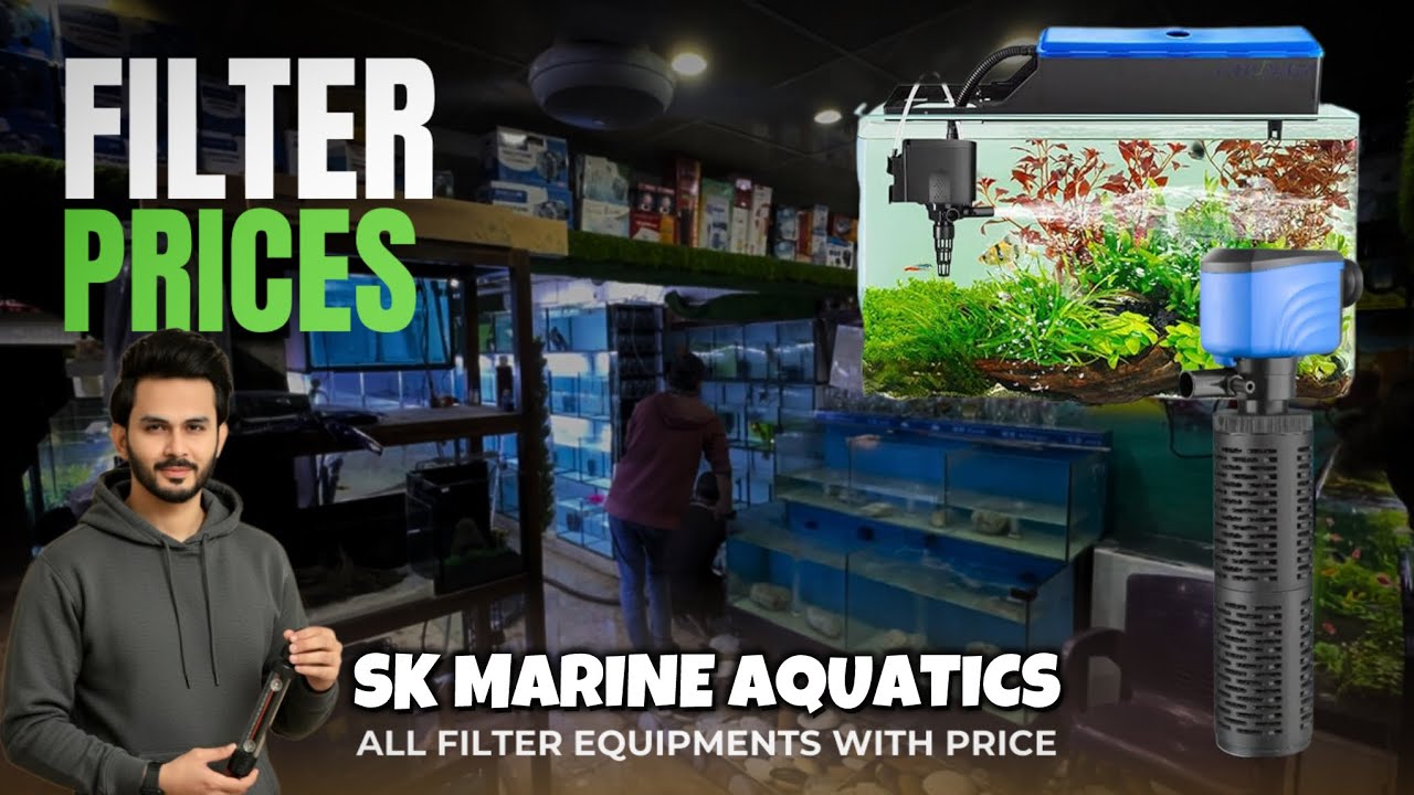 Aquarium Filter Prices in 2026 | SK Marine Aquatics Lalukhet - Imran’s World