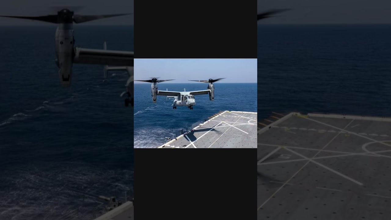 Osprey 