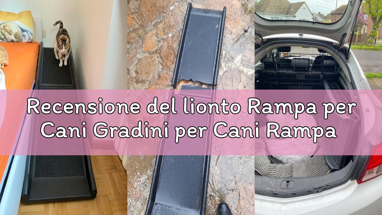 Recensione del lionto Rampa per Cani Gradini per Cani Rampa per Auto Rampa per Bagagliaio per Animal