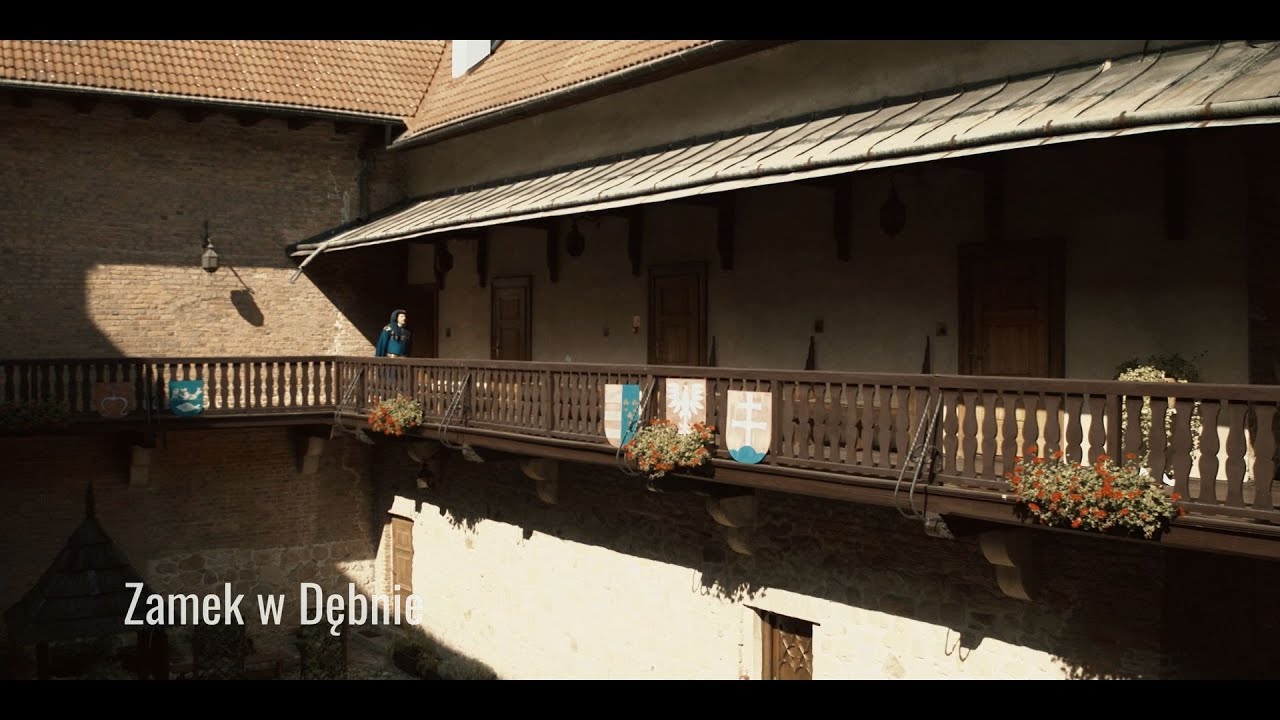 Zamek w Dębnie