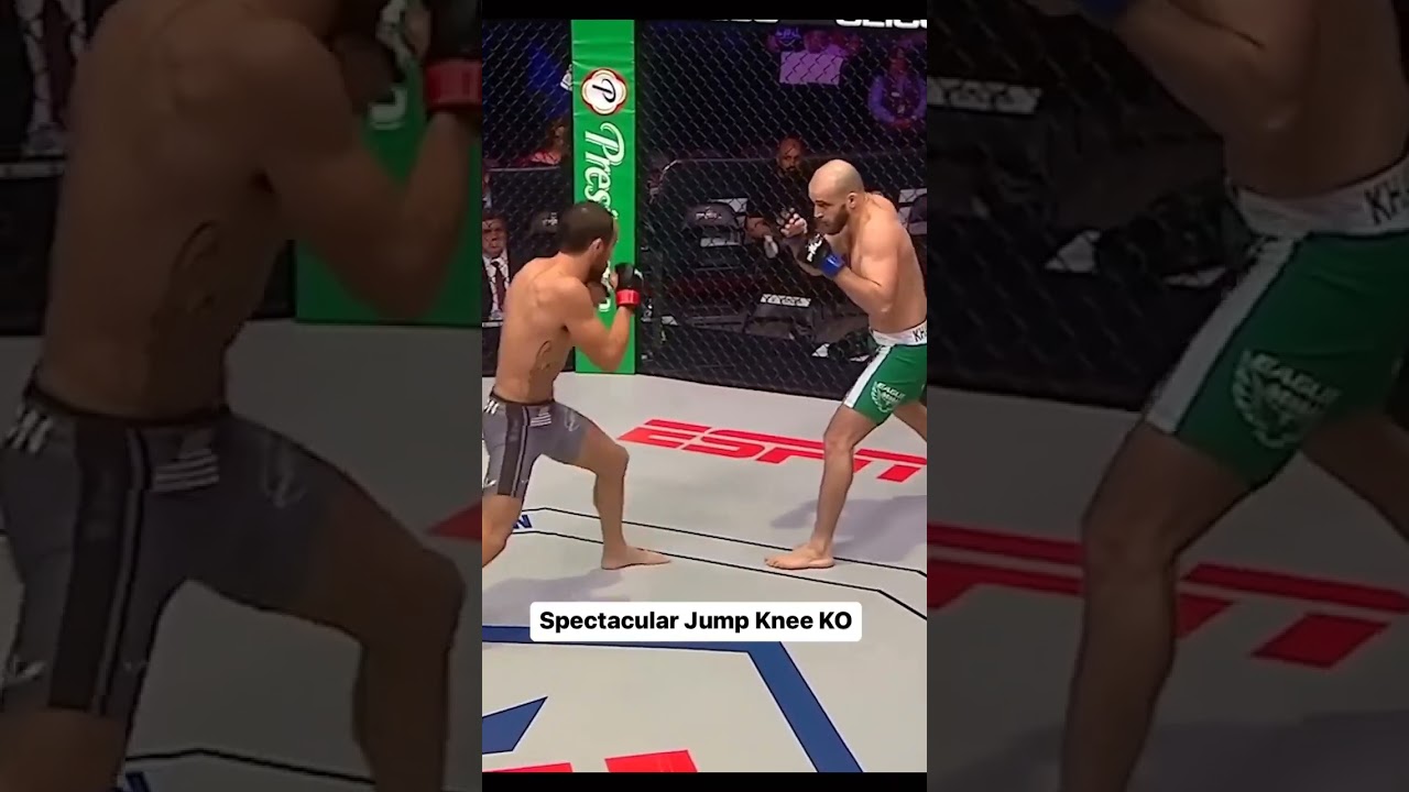 MMA - Best flying knee knockout