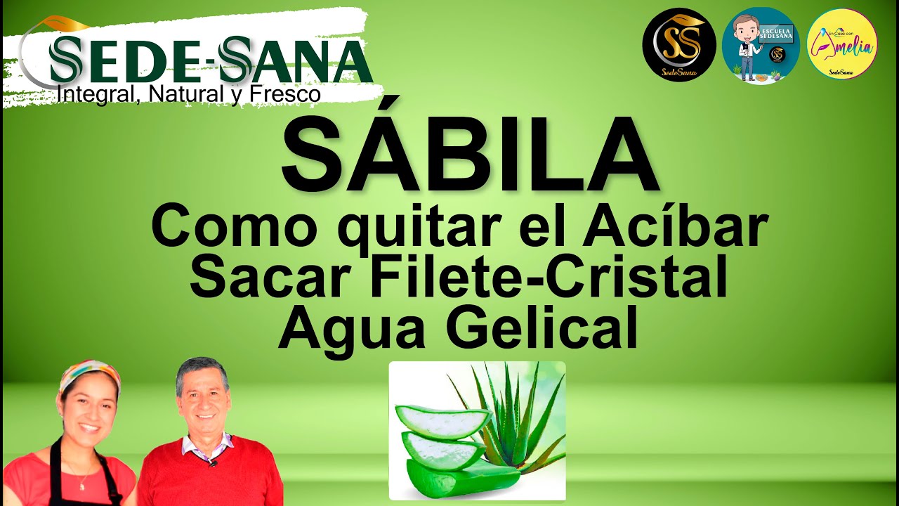 COMO CORTAR LA SÁBILA Y QUITAR ACÍBAR  En casa con Amelia