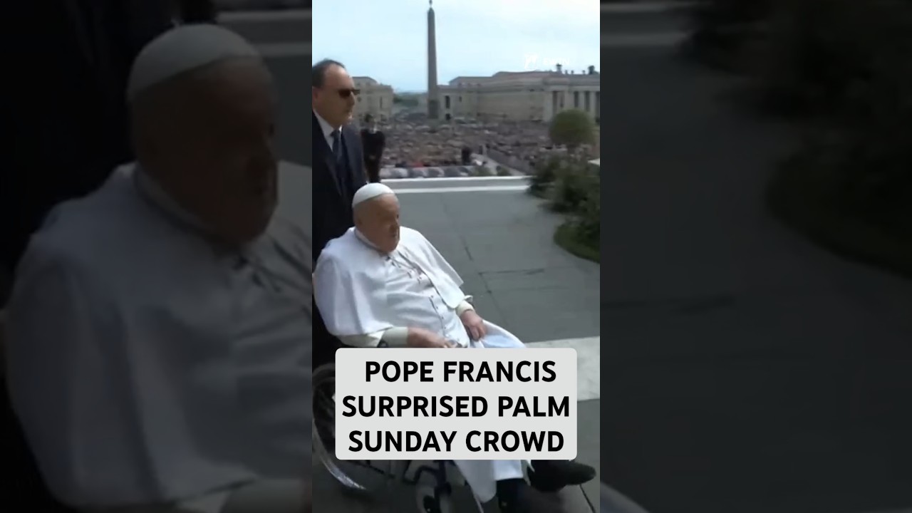 🌿 Pope Francis Joined Palm Sunday Celebration