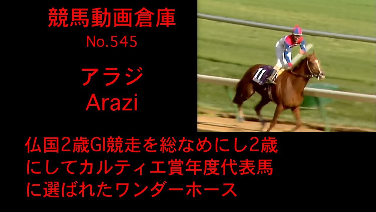 【競馬】アラジ　Arazi【No 545】