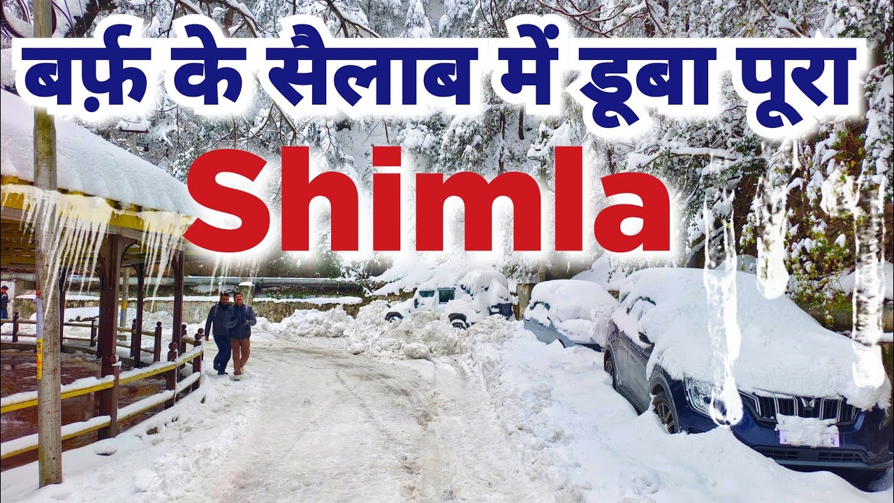 बर्फ़ का सैलाब Shimla में | पूरा शिमला डूबा बर्फ में | Heavy Snowfall 🌨️🌨️ in Shimla #shimlasnowfall 