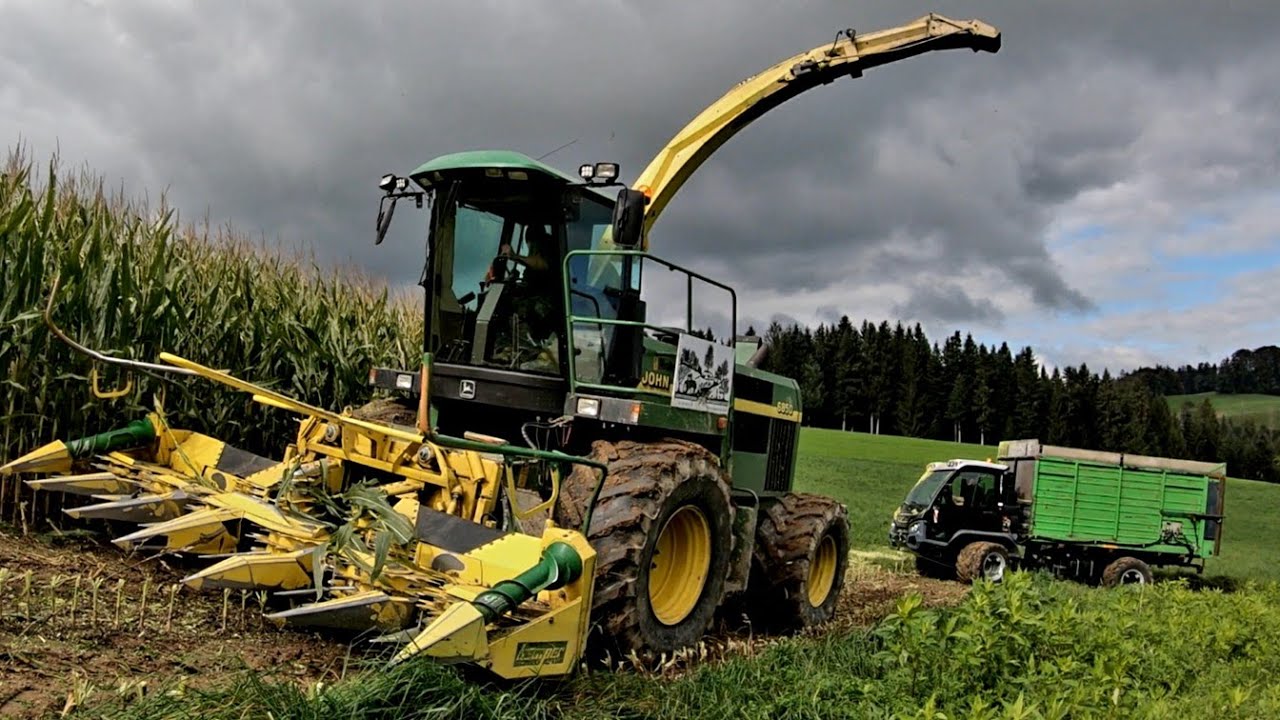 Der Kampf im Mais | NEW Aebi TP470 | Hirschrudel 6130R 6850 6210 | Kemper 345