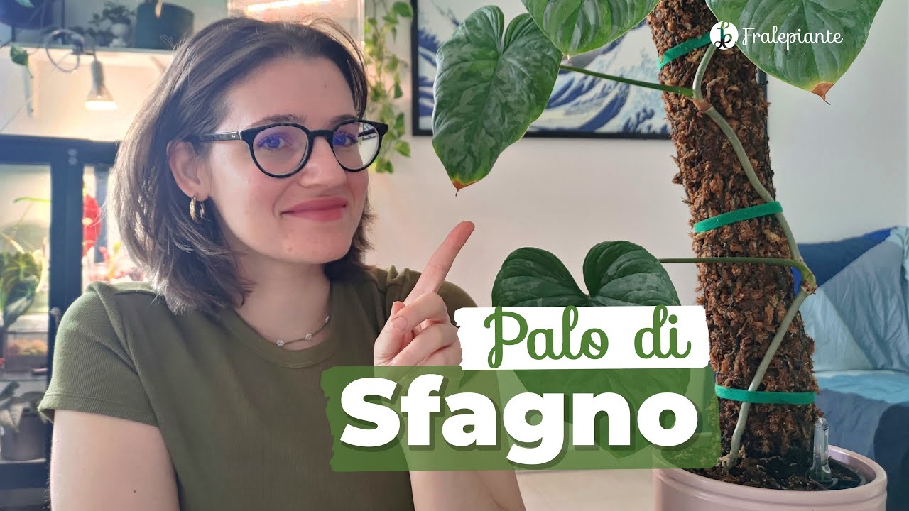 Come creare un PALO DI SFAGNO e renderlo autoirrigante