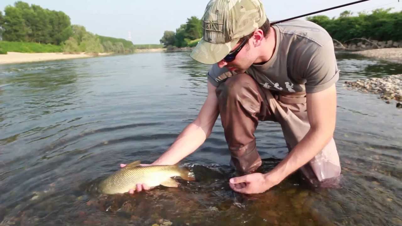 CATCH THE BARBEL