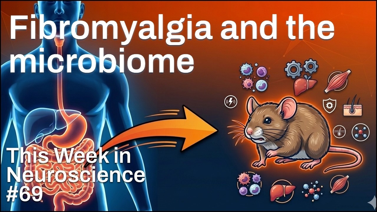 TWiN 69: Fibromyalgia and the microbiome