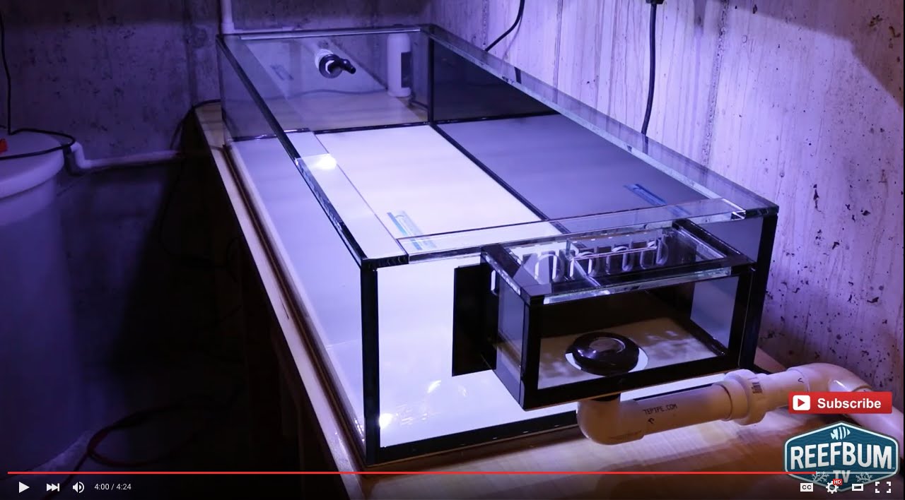 Review: Coast To Coast Custom Aquariums Frag Tank
