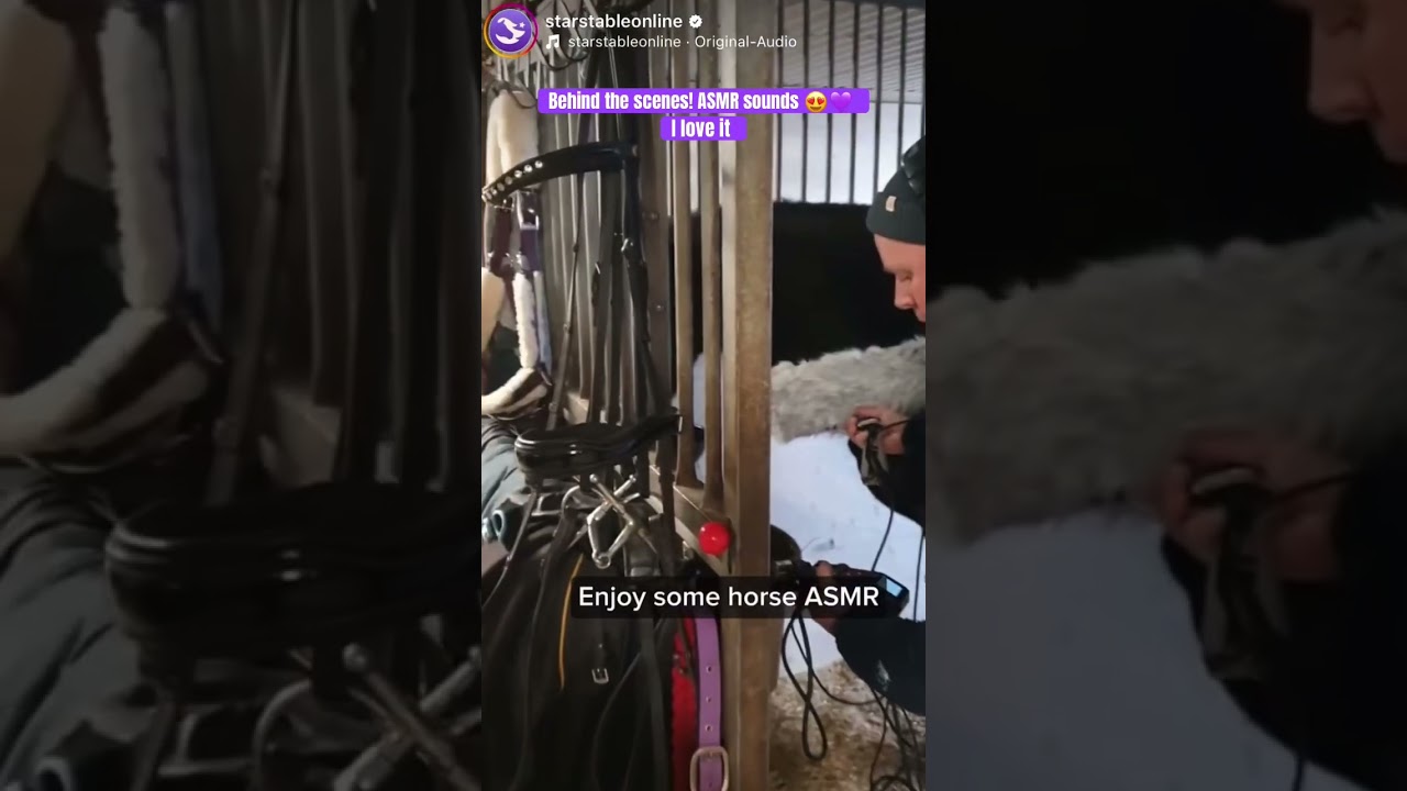 Behind the scenes! ASMR sounds 😍💜 SSO Star Stable #asmr #sso #starstable #tiktok