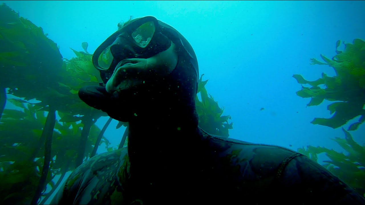 Solo Freediving and Spearfishing off a kayak (Catching my own food) living from the Ocean NZ