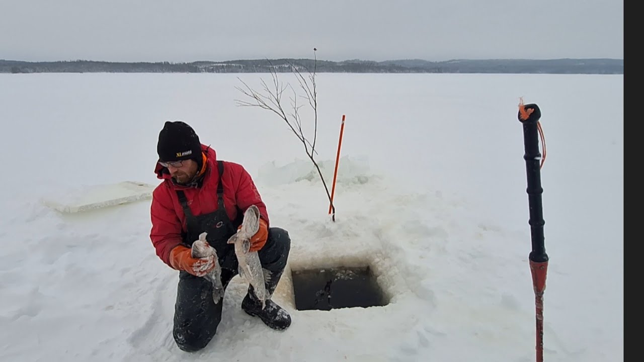 Talviverkoila 26.2.26. Vieläkö 60mm verkko antaa kalaa