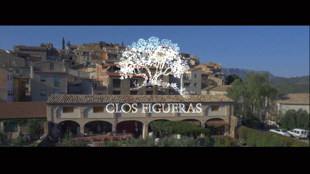 Descubre el Priorat de primera mano Clos Figueras