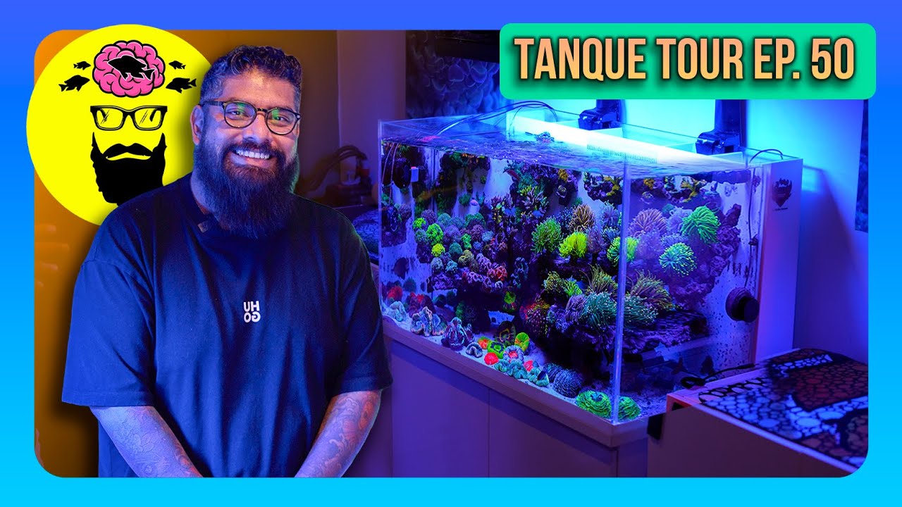 TANQUE TOUR Ep. 50 / Angel Ríos | OSO REEF