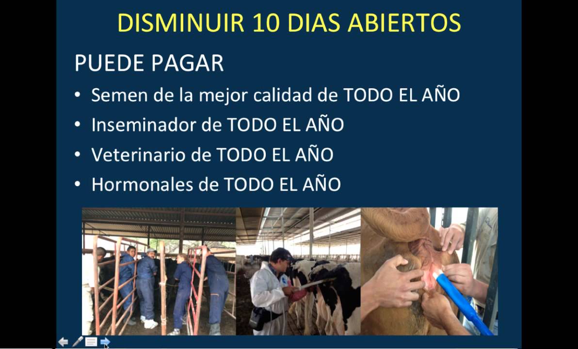 Inseminación Artificial en Bovinos Curso - Metas Reproductivas