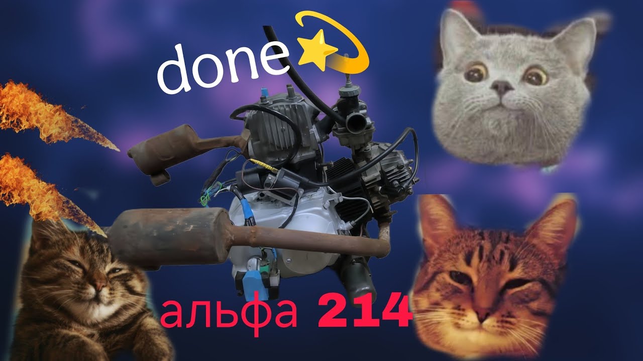 Двухцилиндровая альфа 214. Мурчить як кошеня