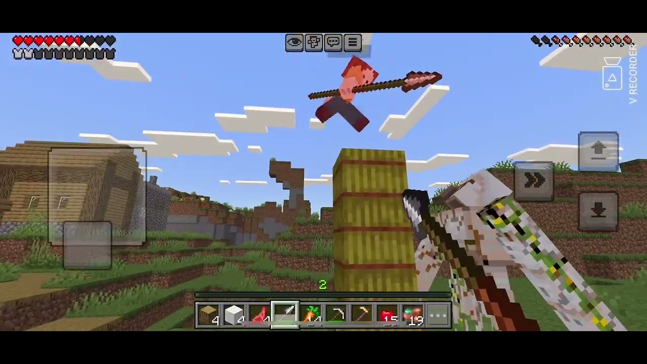 playing minecraft with my brother