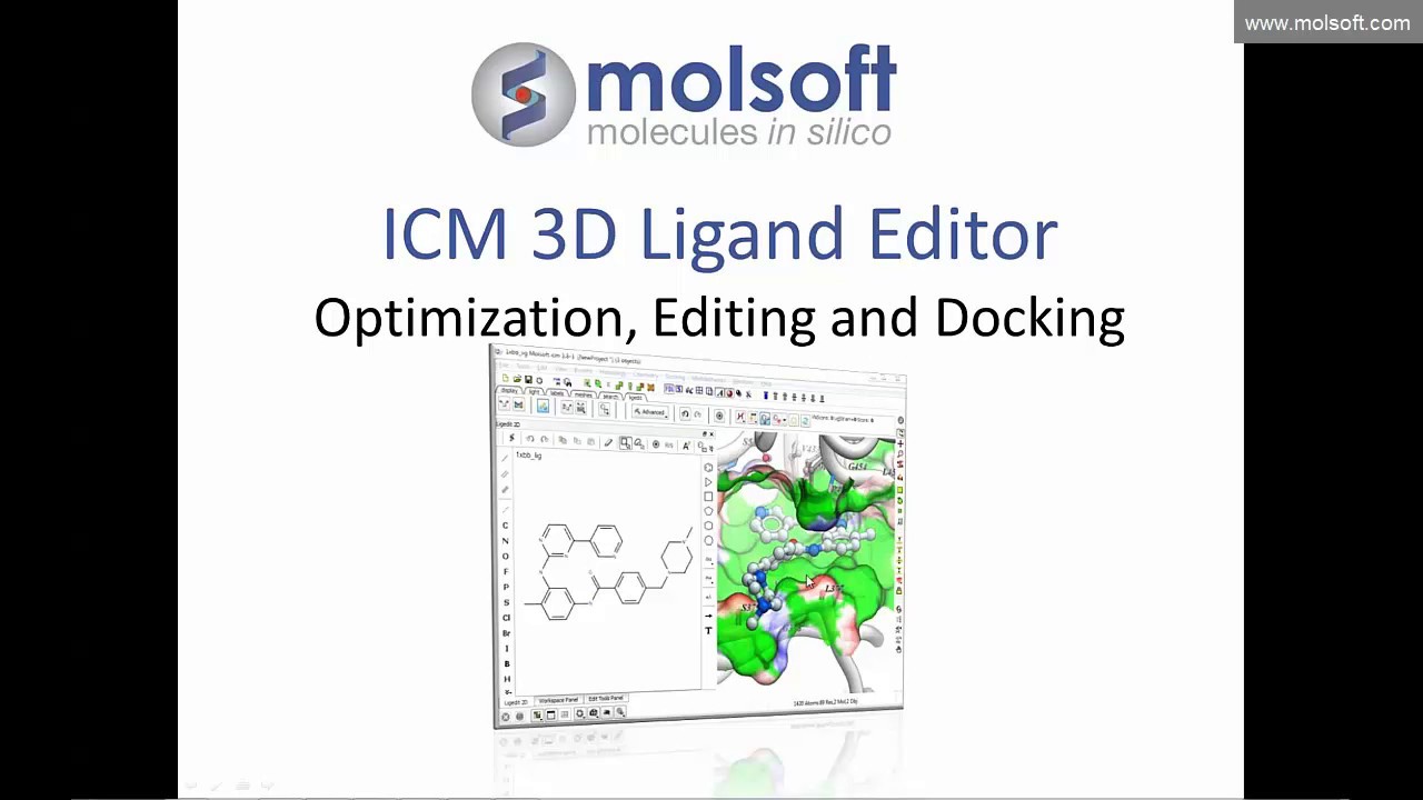 ICM 3D Ligand Editor - Ligand Optimization, Editing and Docking