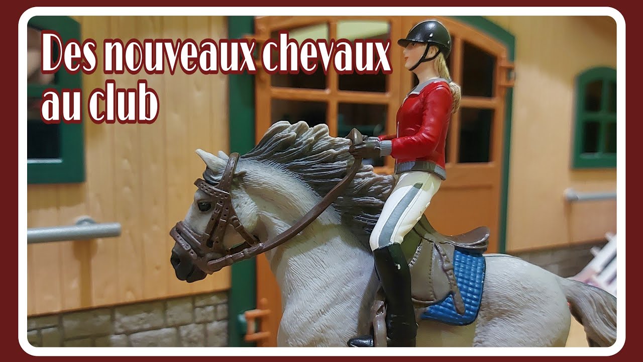 [Cours] Dressage pour les galops 4 : les petits nouveaux travaillent bien 💪🐴